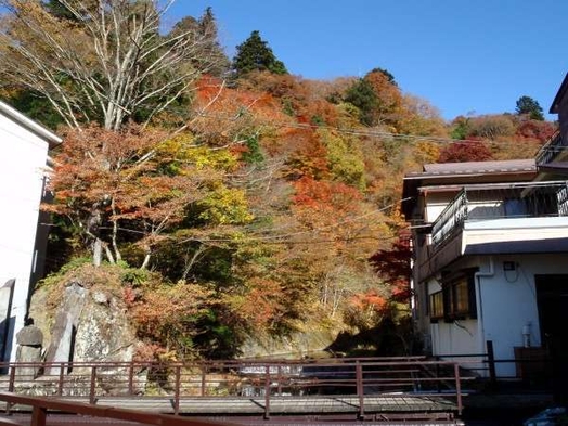 【長連泊プラン】《10泊−15泊》テレワークやワーケーション・湯治★お部屋食で２食付☆メニュー日替り